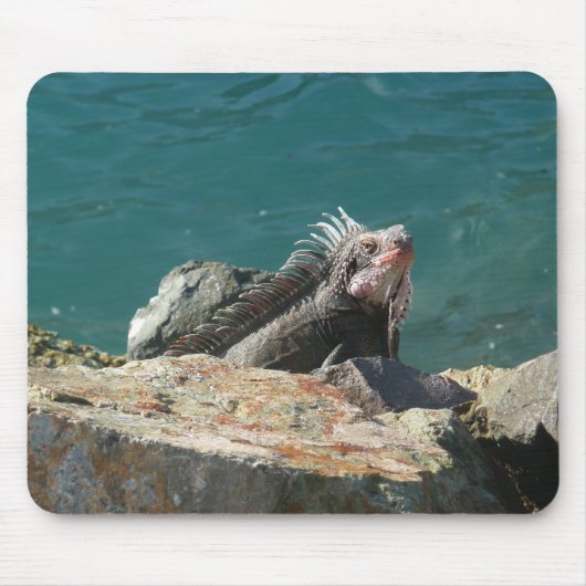 Tapis De Souris Iguane à St-Thomas (Devant)