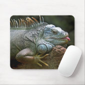 Tapis De Souris iguane, animal, faune (Avec souris)