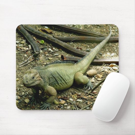 Tapis De Souris Iguane Mousepad (Avec souris)