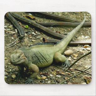 Tapis De Souris Iguane Mousepad