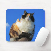 Tapis De Souris Il vente beaucoup ici (Avec souris)