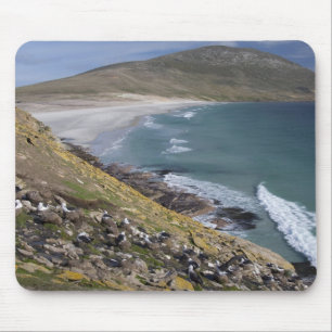 Tapis De Souris Îles Falkland, Malouines occidentales, Saunders