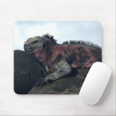 Tapis De Souris Îles Galápagos Noir Iguana (Avec souris)