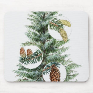 Tapis De Souris Illustration d'arbre conifére avec des cônes
