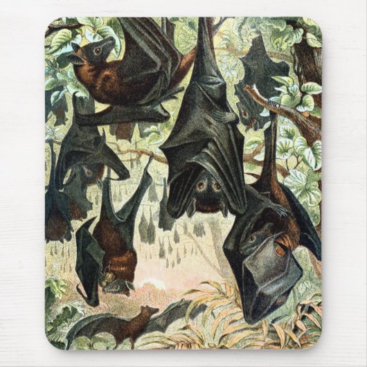 Tapis De Souris illustration de l'acadamia de chauve-souris volant (Devant)