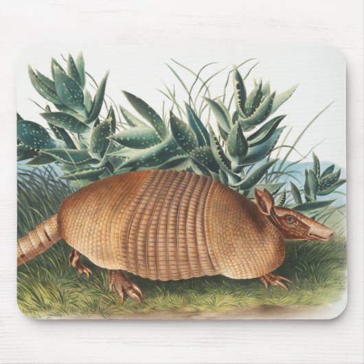 Tapis De Souris Illustration de l'Armadillo (Dasypus Peba) à neuf  (Devant)