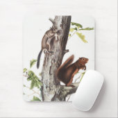 Tapis De Souris Illustration de l'écureuil et de l'écureuil de soi (Avec souris)