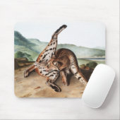 Tapis De Souris Illustration de Lynx texane (Lynx rufus var macula (Avec souris)