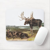 Tapis De Souris Illustration de Moose Deer (Servus alces) (Avec souris)