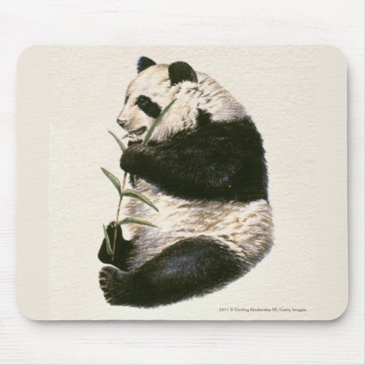 Tapis De Souris Illustration de panda géant alimentant sur le (Devant)