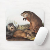 Tapis De Souris Illustration de Woodchuck (Arctomys monax) (Avec souris)