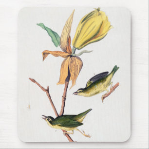 Tapis De Souris Illustration des oiseaux de Paruline capturant des