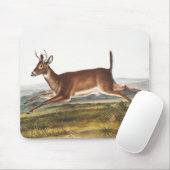 Tapis De Souris Illustration du cerf à queue longue (Cervus leucur (Avec souris)