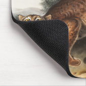 Tapis De Souris Illustration du chat sauvage américain (Lynx rufus (Coin)