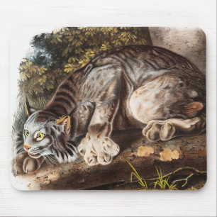 Tapis De Souris Illustration du Lynx du Canada (Lynx Canadensis)