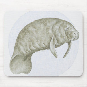 Tapis De Souris Illustration d'un lamantin (espèces de Trichechus