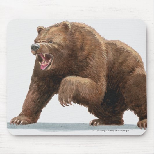 Tapis De Souris Illustration d'un ours Brown (Devant)