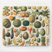 Tapis De Souris Illustration scientifique végétale des fruits (Devant)