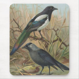 Tapis De Souris Illustration vintage d'oiseau de pie et de choucas