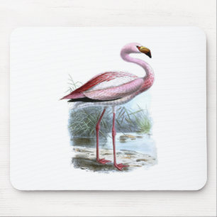 Tapis De Souris Illustration Vintage du Flamant rose Puna