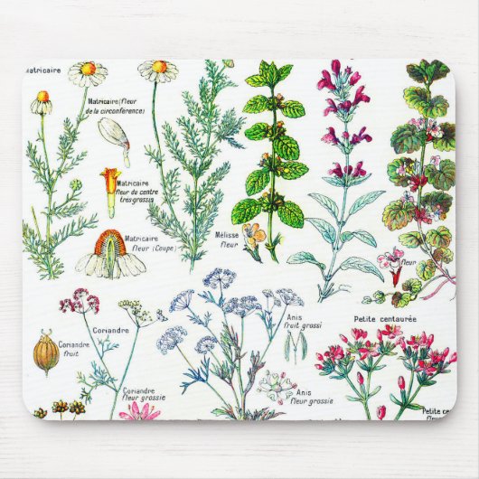 Tapis De Souris Illustrations botaniques - usines de Larousse (Devant)