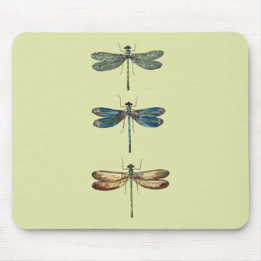 Tapis De Souris Illustrations de libellule (Devant)