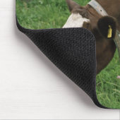 Tapis De Souris ima28991 (Coin)