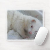 Tapis De Souris Image de furet albinos (Avec souris)