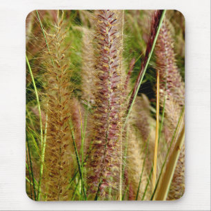 Tapis De Souris Image de photographie d'herbe de vulpin macro