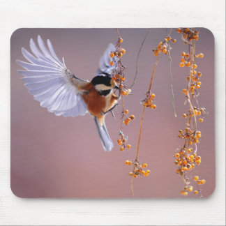 Tapis De Souris Image d'oiseau fantastique / Belle nature