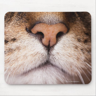 Tapis De Souris Image macro du nez et de la bouche du chat.