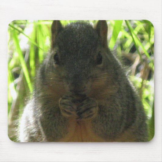 Tapis De Souris Image mignonne d'un petit écureuil mangeant un (Devant)