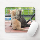 Tapis De Souris Images de Getty | deux chatons sur un balcon (Avec souris)
