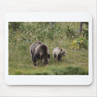 TAPIS DE SOURIS IMG_1328_1