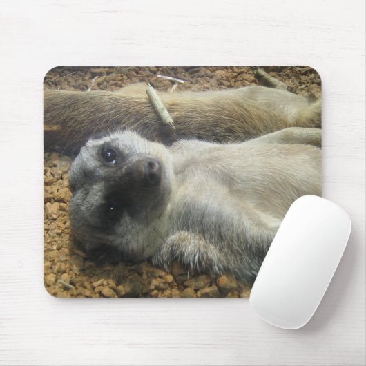 TAPIS DE SOURIS IMG_2196 (Avec souris)