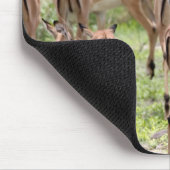 Tapis De Souris Impala Dans Le Delta De L'Okavango (Coin)