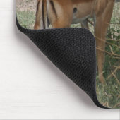 Tapis De Souris Impalas sur le Serengeti (Coin)