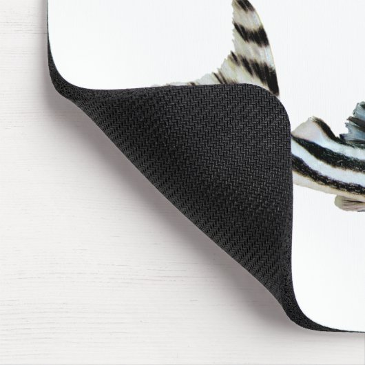 Tapis De Souris “Imperial Zebra Pleco”の優良製品 (Coin)