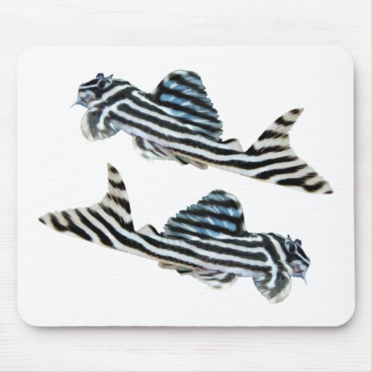 Tapis De Souris “Imperial Zebra Pleco”の優良製品 (Devant)