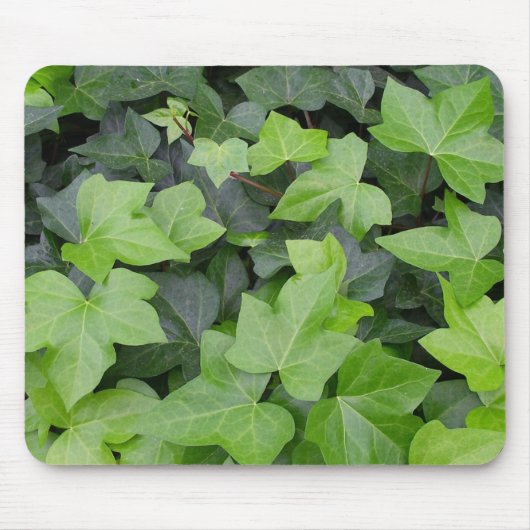 Tapis De Souris Impression botanique verte Ivy (Devant)