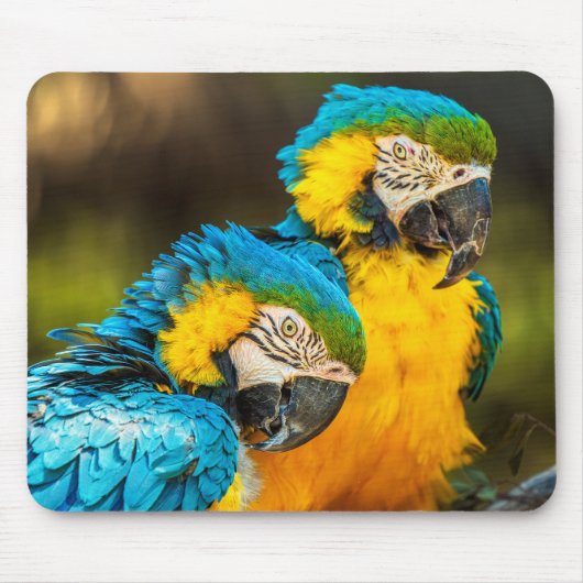 Tapis De Souris Impression d'art mural photographique de faune Com (Devant)