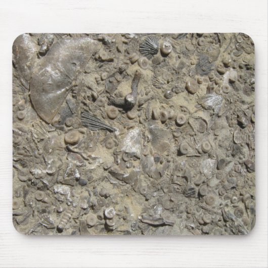 Tapis De Souris Impression de hachage fossile (Devant)