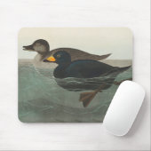 Tapis De Souris Impression de Macreuse noire d'Audubon : Canard cô (Avec souris)