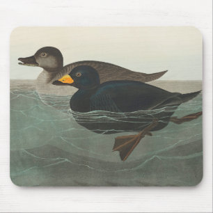 Tapis De Souris Impression de Macreuse noire d'Audubon : Canard cô