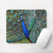 Tapis De Souris Impression de paon coloré (Avec souris)