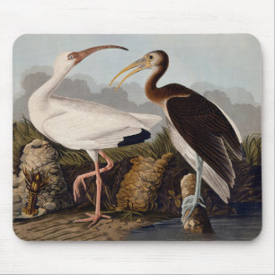 Tapis De Souris Impression d'oiseau Ibis blanc de John James Audub