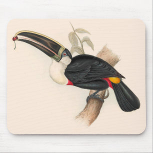 Tapis De Souris Impression du Toucan de Cuvier : Oiseau Tropical V