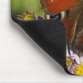 Tapis De Souris Inachis io (Coin)