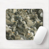 Tapis De Souris Inde (Avec souris)
