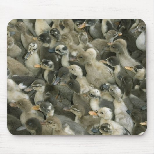 Tapis De Souris Inde (Devant)